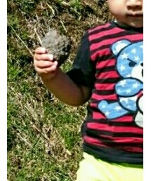 HYSTERIC GLAMOUR | Tシャツ/カットソー