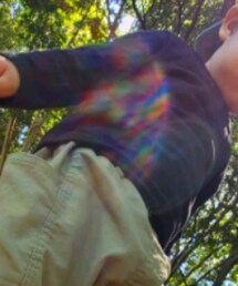 しまむら | Tシャツ/カットソー