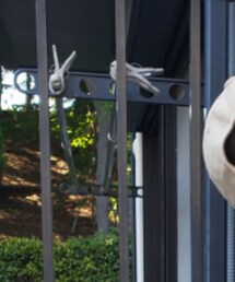 Birthday | キャップ