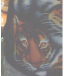 kinji | Tシャツ/カットソー