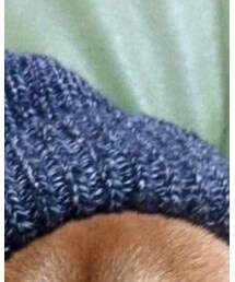 不明 | ニットキャップ/ビーニー