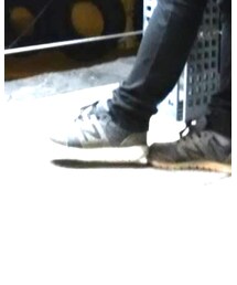 NEW BALANCE | スニーカー