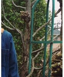 L.L.Bean | ワンピース