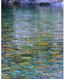 used Tee | Tシャツ/カットソー