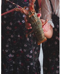 小龍蝦 | その他