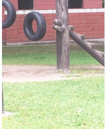 Reebok | サンダル