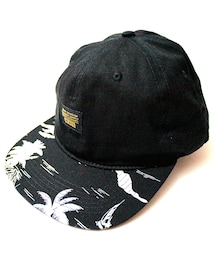 10Deep | Local Native Snapback Hat in Black(キャップ)