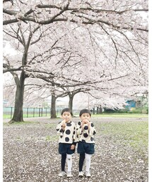 🌸sakura🌸 | その他