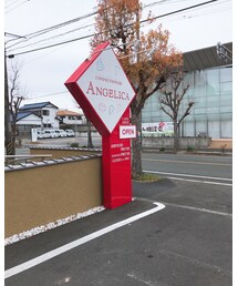 アンジェリカ | その他