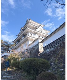 郡上八幡城 | その他