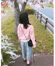 お花見 | その他