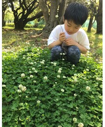 ☘ | その他