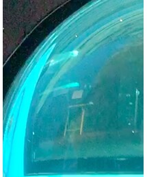 しながわ水族館へお出かけ\♡/ | その他