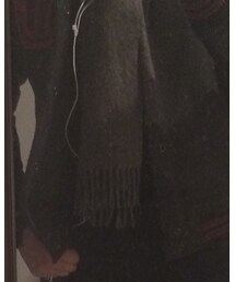 FENDI | ストール/ショール