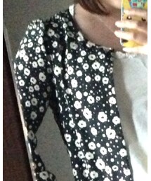 franchelippee | ワンピース