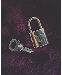 LOUIS VUITTON | その他小物