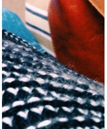 靴下屋 | レギンス/スパッツ