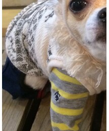 asknowasdewan | Tシャツ/カットソー