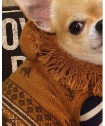 asknowasdewan | Tシャツ/カットソー