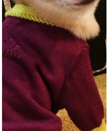 asknowasdewan | ニット/セーター