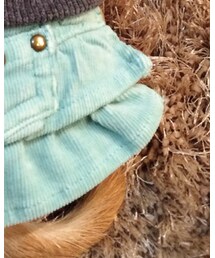 asknowasdewan | スカート