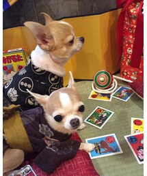 asknowasdewan | トップス