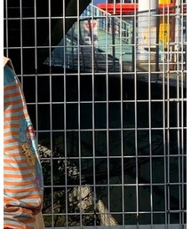 left alone | Tシャツ/カットソー