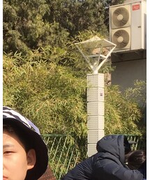 UNIQLO | キャップ