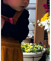 UNIQLO | ニット/セーター