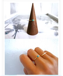 EL Flamingo | リング