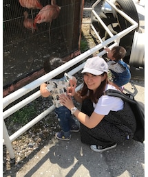 動物園♡ | その他