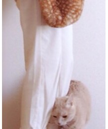 GU | その他パンツ