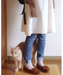 今日のねこ🐈 | その他