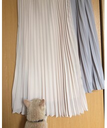 UNIQLO | スカート