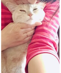 🐈💕 | その他