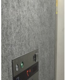 dowdow | Tシャツ/カットソー