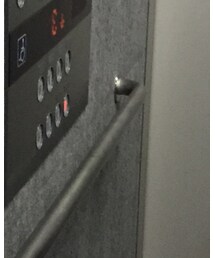 Relate | ショルダーバッグ