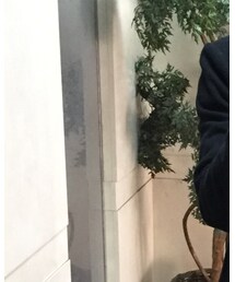 JOURNAL STANDARD | チェスターコート