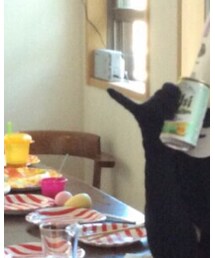 顔無し用 | トップス