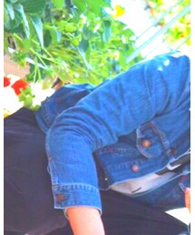 EDWIN | デニムジャケット