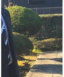 BLACK LABEL CRESTBRIDGE | ネクタイ