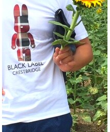 BLACK LABEL CRESTBRIDGE | Tシャツ/カットソー