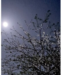 バイト帰り🌸 | その他