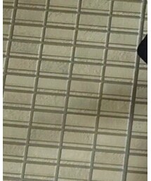 STYLE DELI | Tシャツ/カットソー