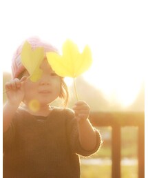 葉っぱ | その他