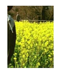 joe's  | Tシャツ/カットソー