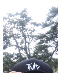 TNSD  | キャップ