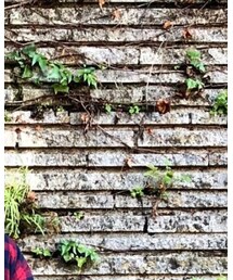 illcommons | ニットキャップ/ビーニー