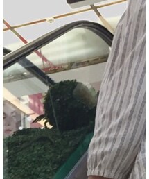 madewell | シャツ/ブラウス