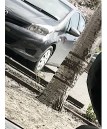 COMME des GARCONS | MA-1